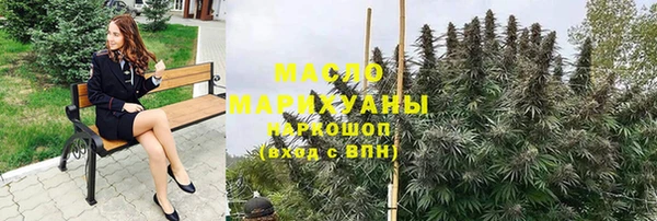 тгк Бородино